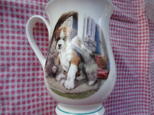 Boxer - Playful Boxer pup with