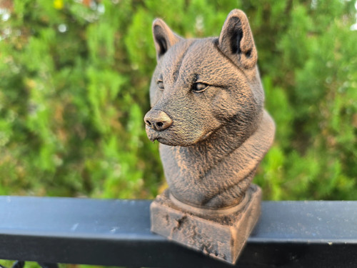 American akita bust - american,
