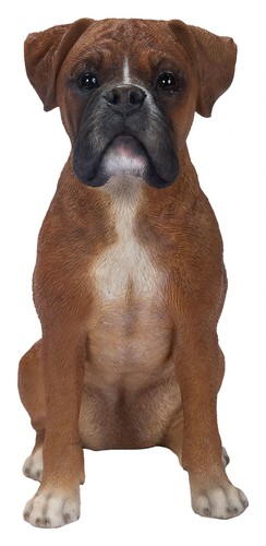 Vivid arts boxer dog - arts,