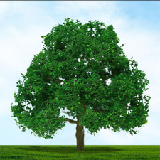 Tasma Products 04009 OO/HO