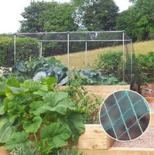 Vegetable Fruit Cages With Green Bird Netting Different Sizes Available