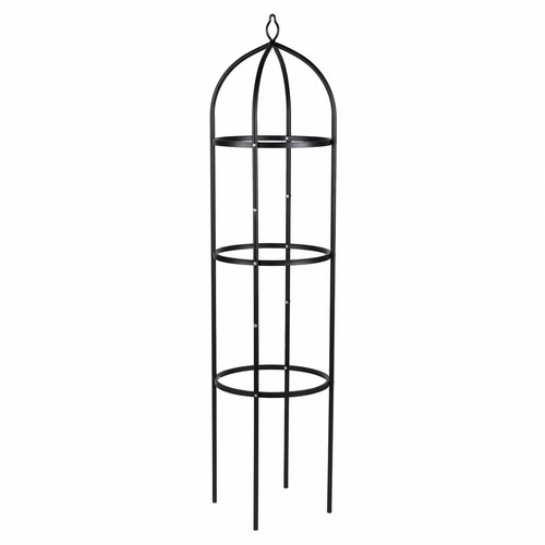Garden obelisk plant - garden,