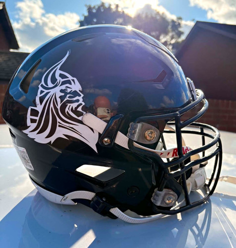 Riddell speedflex full face - full,