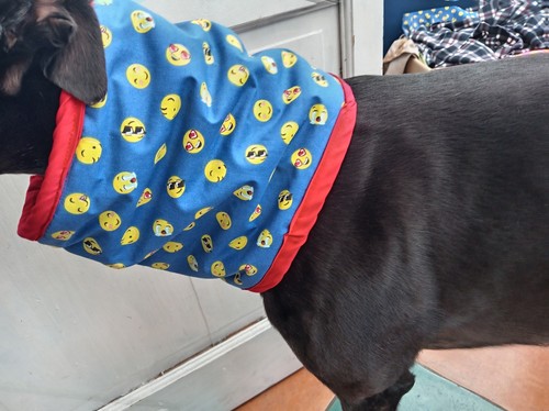 Handmade greyhound snood - greyhound,