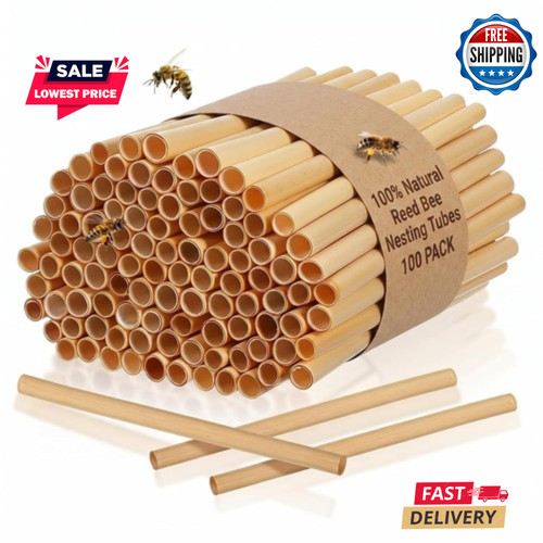 100 pack natural reed bee - pack,