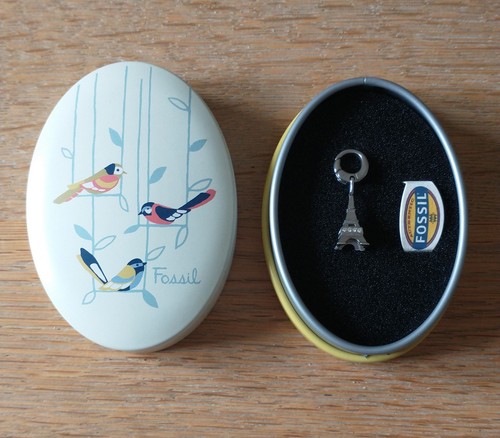 Fossil eiffel tower - fossil, charm