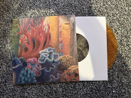 Rival sons record store day - record, 7