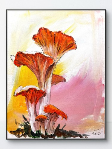 Samatowic mushrooms nature - mushrooms,