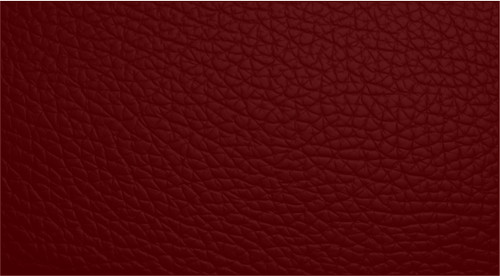 Leather repair paint dye