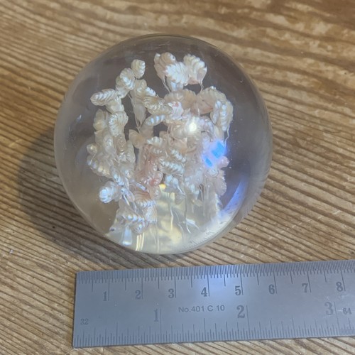 Hippocampus embedments floral - hippocampus,