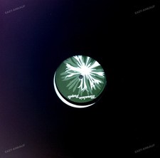 Serafin & Roman Bruderer - Mountain004 Maxi (VG) .