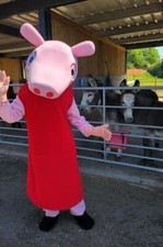 Hire  PEPPA  Costume Mascot Fancy Dress (Manned) Cheshire