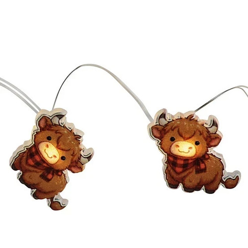 Highland cow bull - cow, string