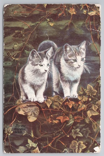 Two kittens the - two, garden
