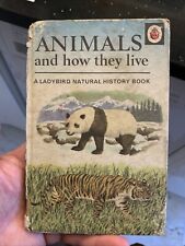 Ladybird Animals And How They