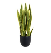 Artificial Sansevieria Plant