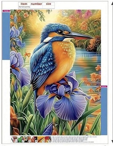 Kingfisher bird pond - pond, diy