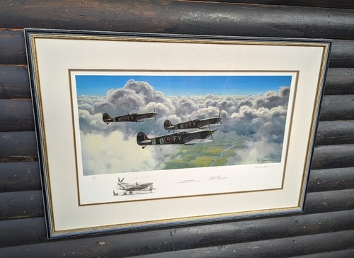 Spitfire aviation blank - spitfire,