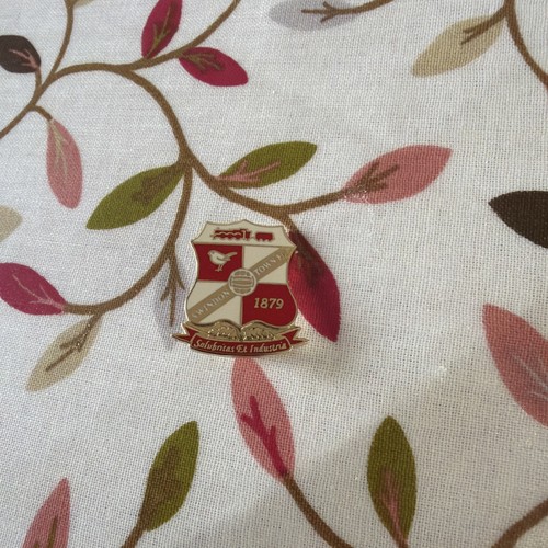 Swindon town pin badge - town,