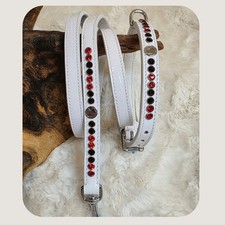 Staffy Show Collar Lead Set
