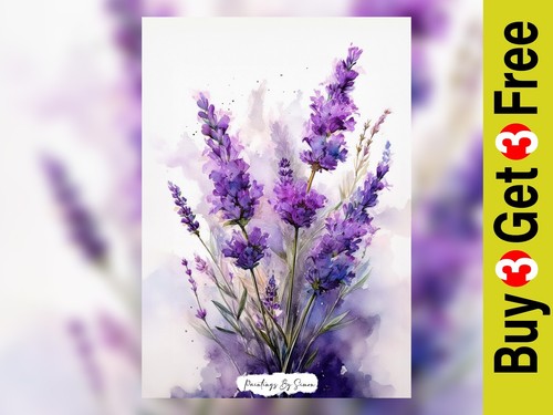 Blooming lavender flowers - lavender,