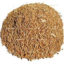 BUDGIE SEED - (350g to 20kg) - Caged Bird Feed Millet Canary Budgerigar Pet Food