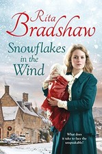 Snowflakes the wind - in,
