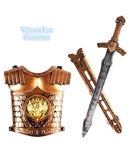 Kids knight armor - c2,
