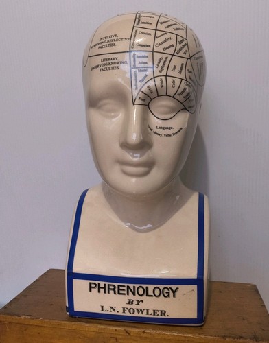 Vintage large phrenology study - vintage,