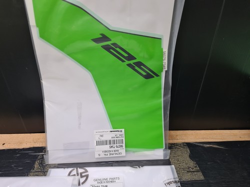 Kawasaki ninja 125 - kawasaki,