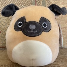 Prince the Pug Squishmallow 8"