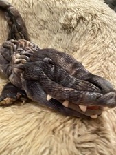 Folkmanis American Alligator