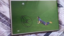 Robin Van Persie Ex Netherlands Holland Hand Signed 12x8 Gloss Photo