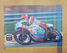 Buscherini Yamaha TZ 350