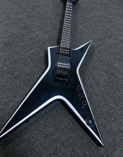 Washburn dimebag darrell - washburn,
