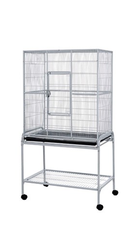 Birds rats chinchillas flight - rats,