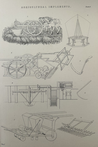 Antique print agricultural - antique,