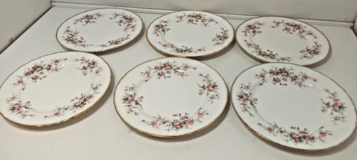 Paragon victoriana rose - paragon,