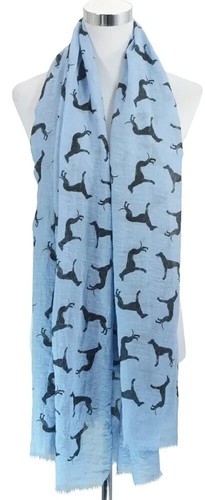 Long whippet dog greyhound - long,