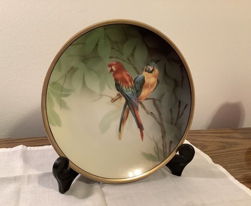 Prussia germany parrot - rs,