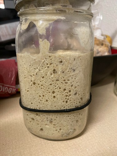 San francisco dried - san, sourdough