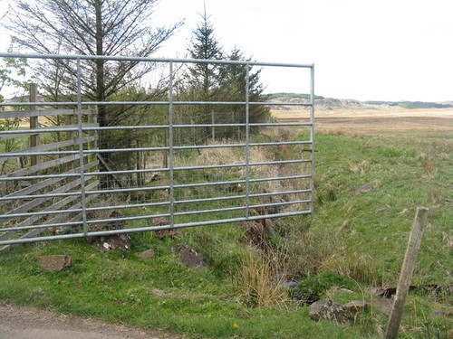 Photo deer gate and fence - deer,