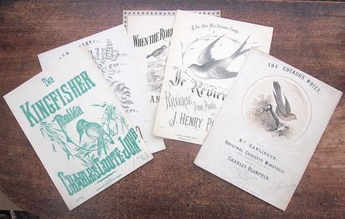 Bird themed victorian - 5,