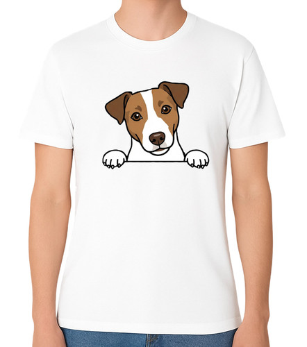 Peeking jack russell dog - jack,