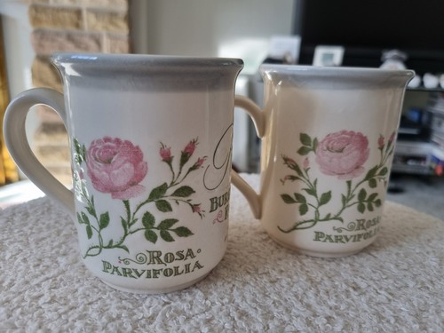 Staffordshire tableware - staffordshire,