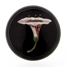 Signed Italian Silver Mounted