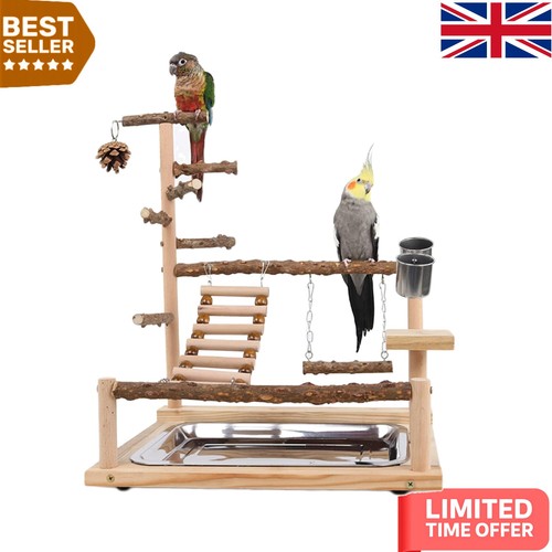Exquisite bird play - stand, with