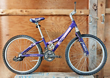 2010 Trek MT220 24" Kids MTB