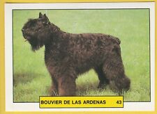 Dogs Spanish Trading card sticker circa 1981 Merchante #43 Bouvier des Ardennes