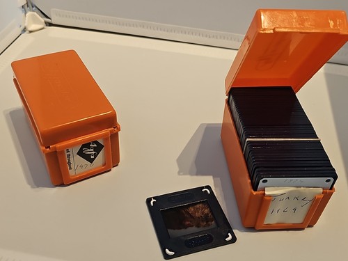 Vintage plastic storage case - vintage,